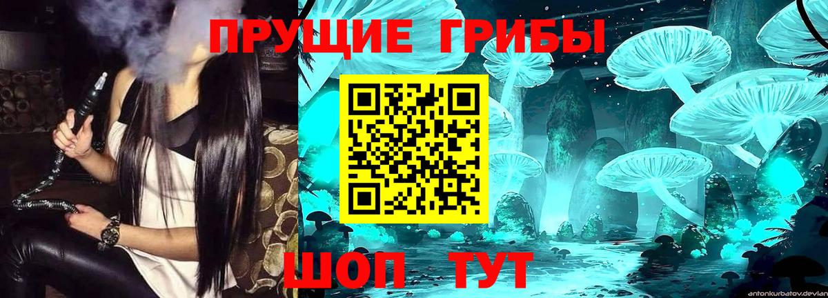 Псилоцибиновые грибы GOLDEN TEACHER  Галлюциногенные грибы мухоморы  Ковров  Вход с VPN 