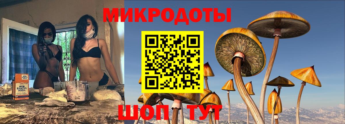 Псилоцибиновые грибы мухоморы Ковров